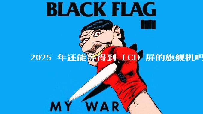 2025 年还能等得到 LCD 屏的旗舰机吗？