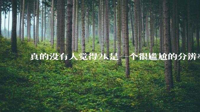 真的没有人觉得2k是一个很尴尬的分辨率吗？