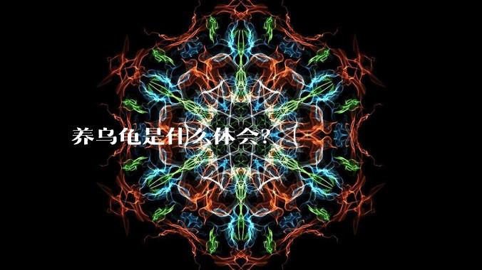 养乌龟是什么体会？