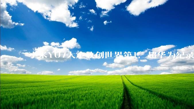 小米YU7大定数创世界第1，超华为纪录，近特斯拉中国年销，这是否证明了中国经济基本面强劲，居民收入高？