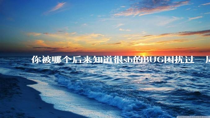 你被哪个后来知道很sb的BUG困扰过一周以上吗？