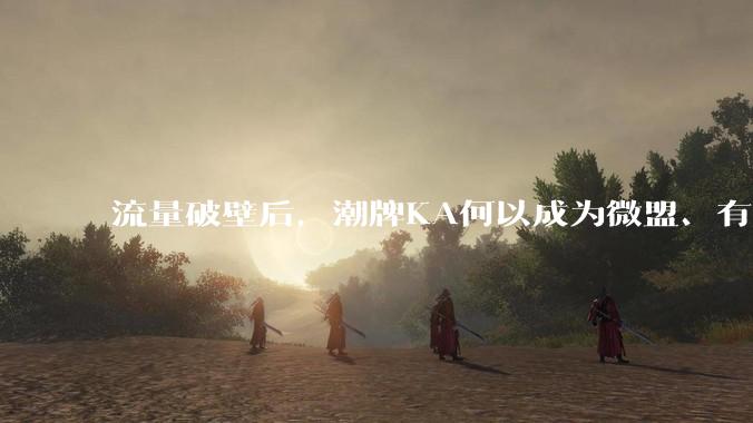 流量破壁后，潮牌KA何以成为微盟、有赞们角力的主战场？ - *