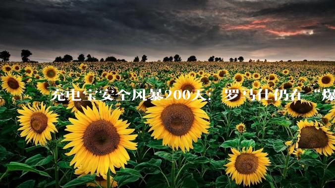 充电宝安全风暴200天：罗马仕仍在“爆燃”，安克流血上市，行业静待最严新规洗牌_创新_损失金额_产品