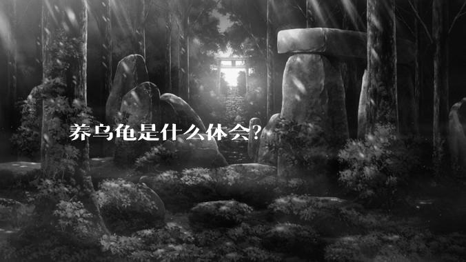养乌龟是什么体会？