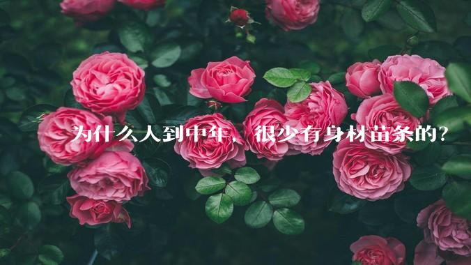 为什么人到中年，很少有身材苗条的？