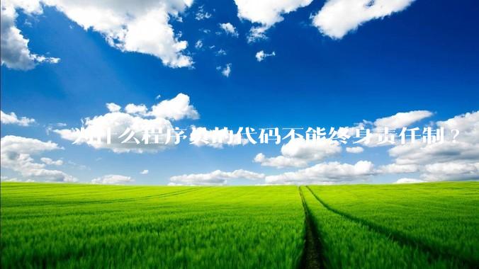 为什么程序员的代码不能终身责任制?